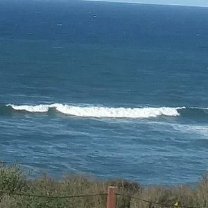 Meet your Posher, Dani